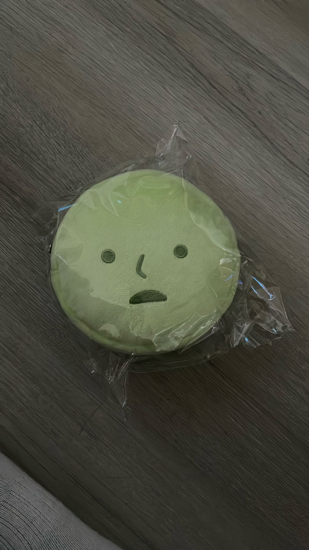 Smiski Cushion Pouch