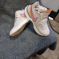 Nike Zoom LeBron  Nxxt Gen Da Vinci Size 7.5