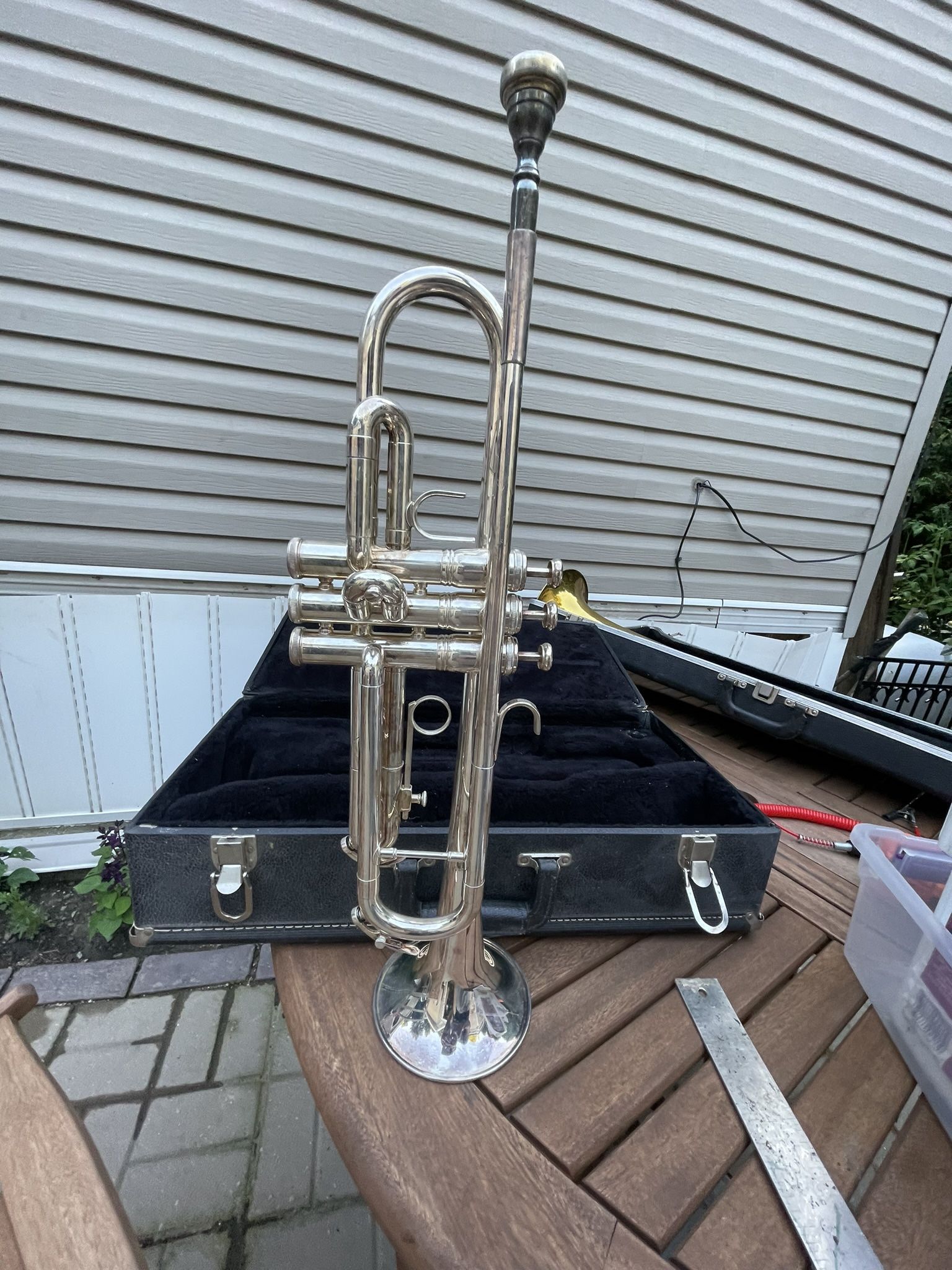 King Trumpet