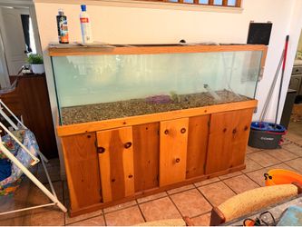 230 gallon fish tank