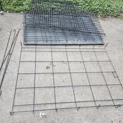 Giant Kennel