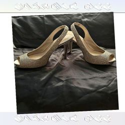 record save Celebration Wear Sparkle with Elegant and Fashionable Looks
