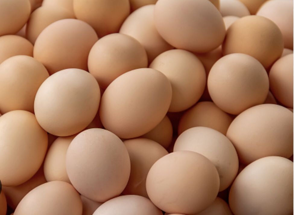 90 Brown Eggs For $40