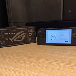 Mint Condition ROG ally X