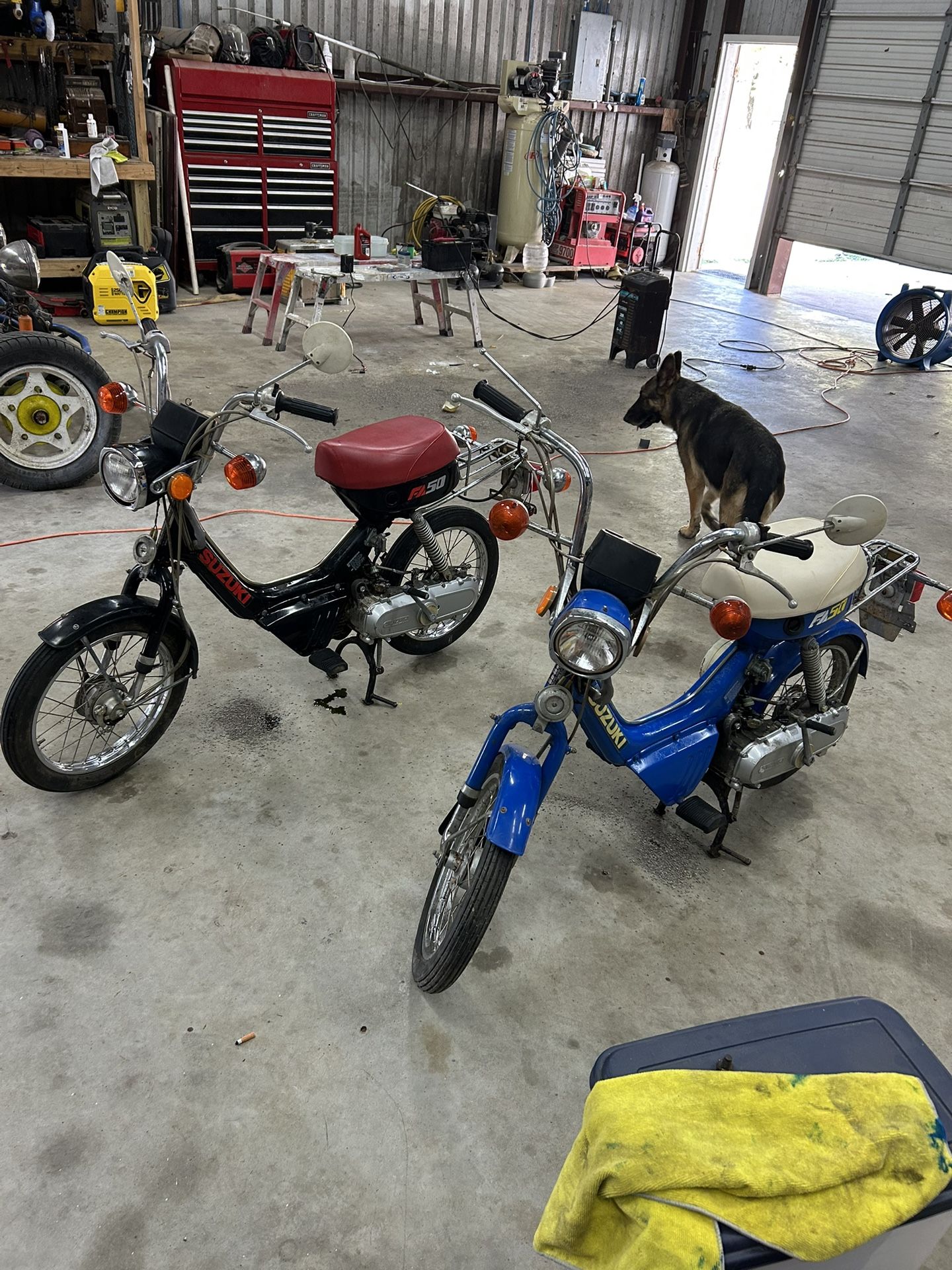 1991 Suzuki Moped
