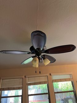 Ceiling fan