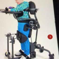 Evolv Standing Frame With Accessories. Easy Stand Large. Sit To Stand. Used