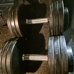 65lbs Dumbells Weights 