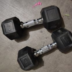 20 Lb Dumbbells 