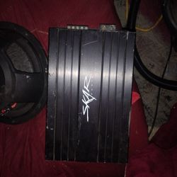 Skar Audio Amp And Phoenix Gold Speakers