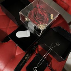Eternally Preserved Rose Box W/ Engraved Heart Necklace