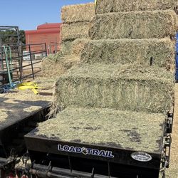 JUST IN! HORSE QUALITY HAY