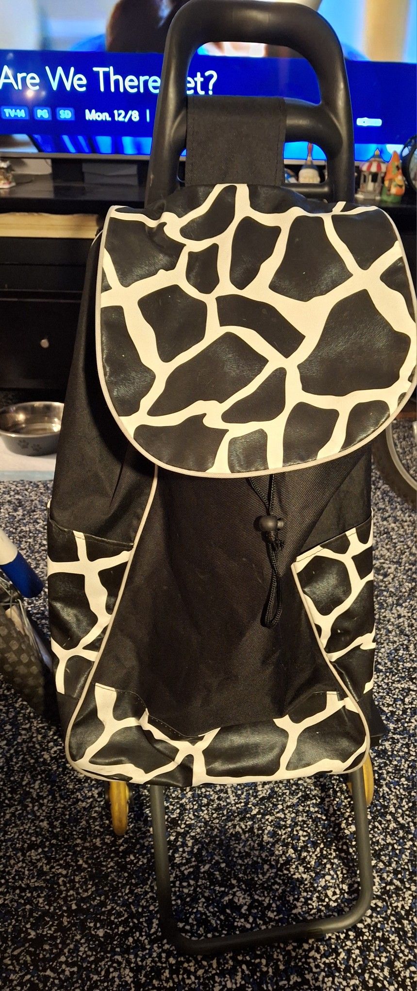 Backpack Roller Like New $15