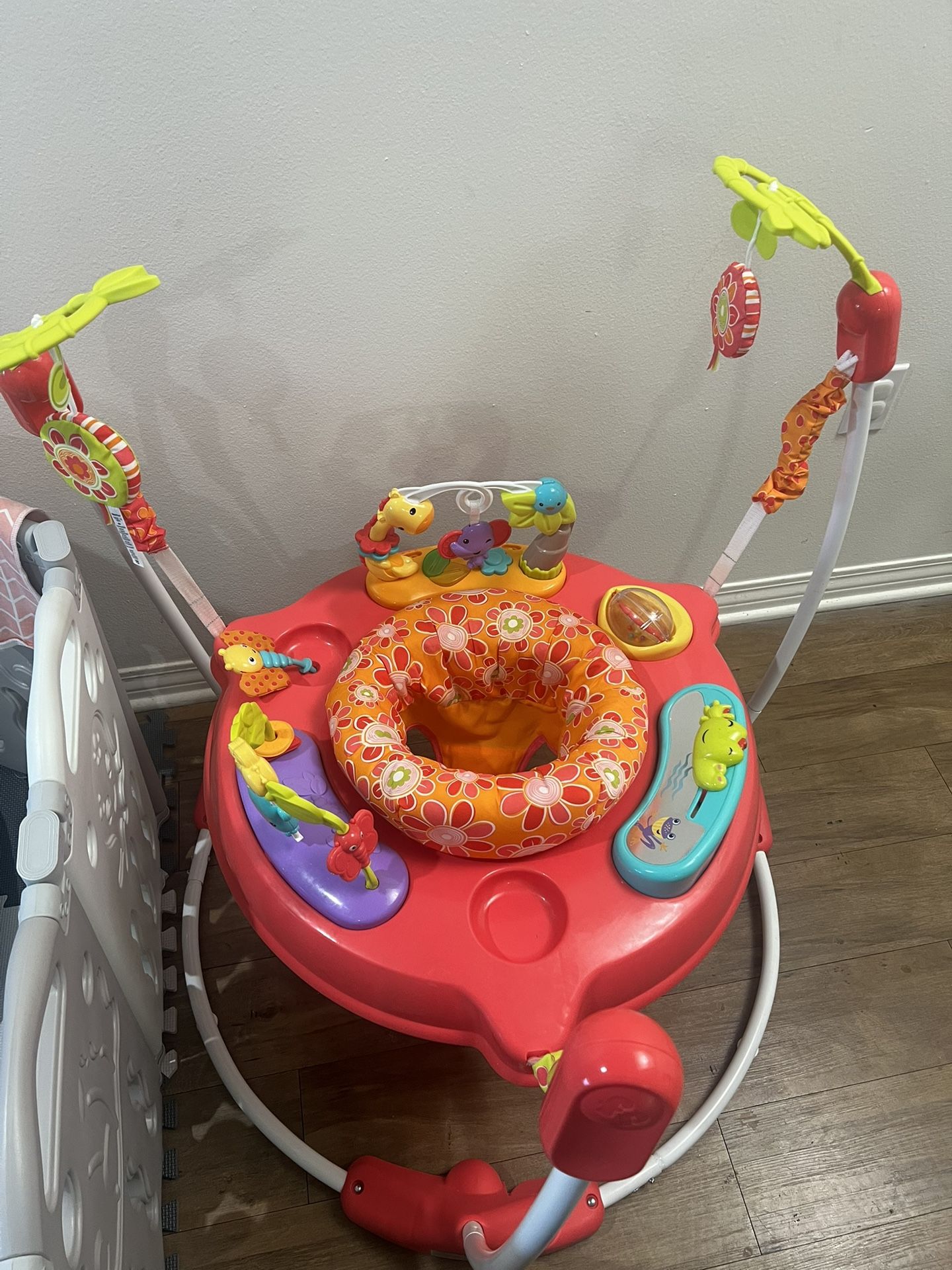 Fisher Price Baby Bouncer