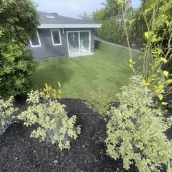 Grass And Sprinklers $3 