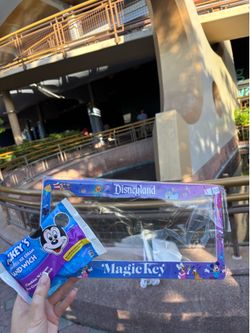 disneyland license plate