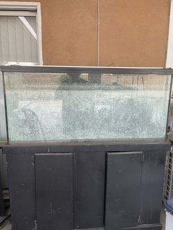 Fish Tank Salt Water 100 Gallon