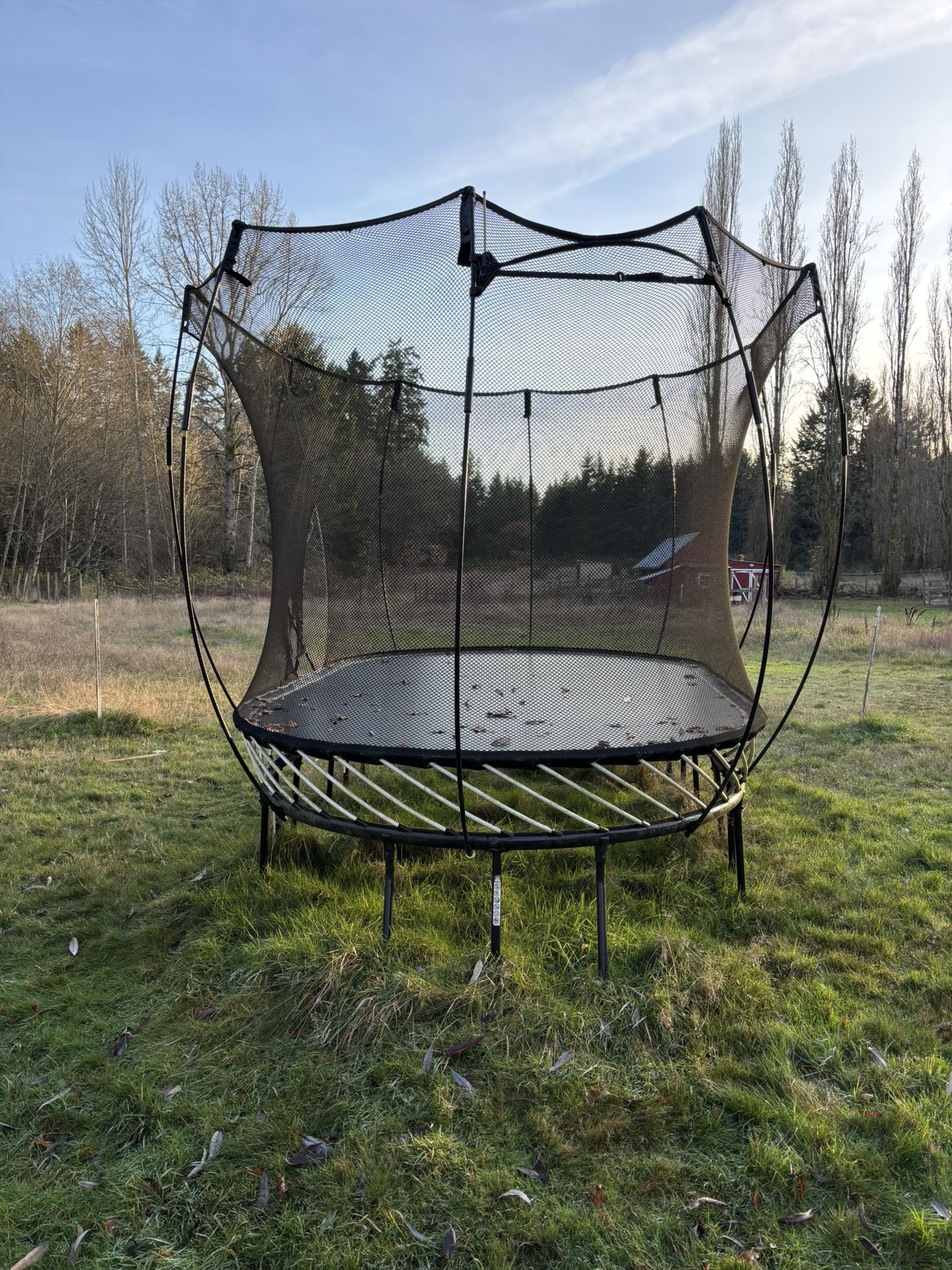 Spring Free Oval Trampoline