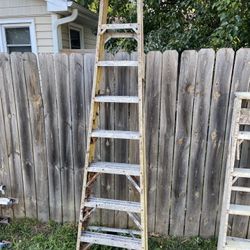 8’ Werner Step Ladder 