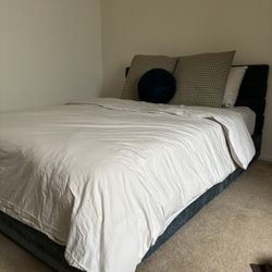Queen Size Cushioned Bed frame 