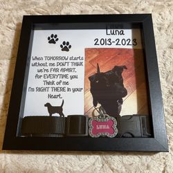 Pet Memorial