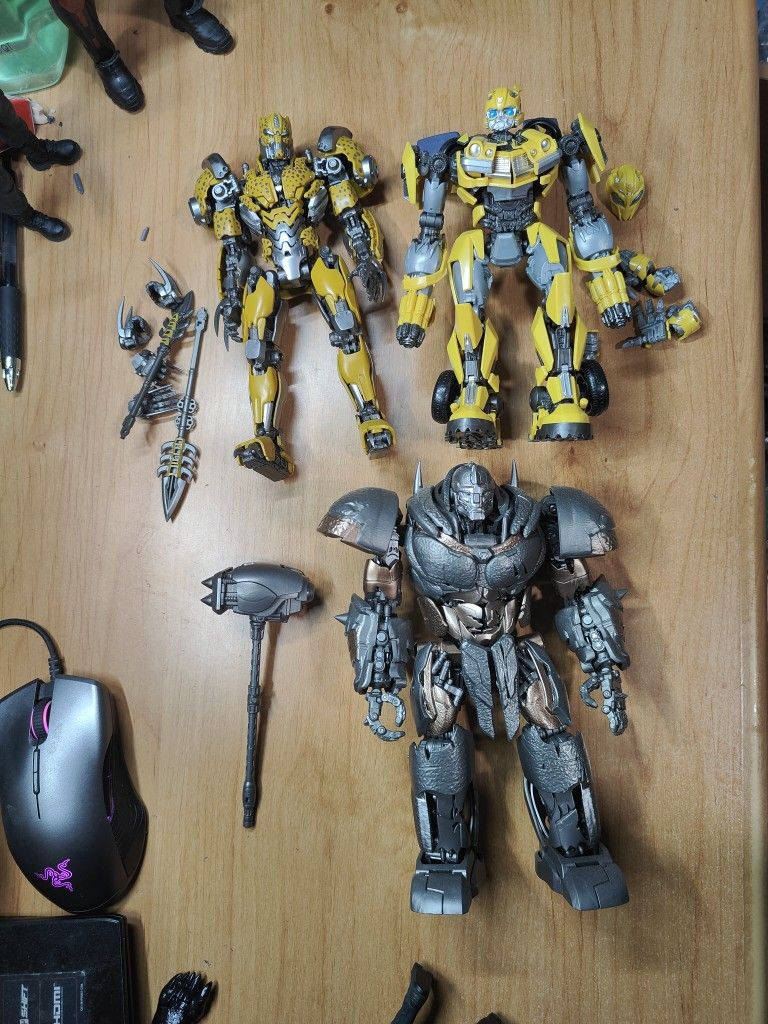 Yolopark Transformer