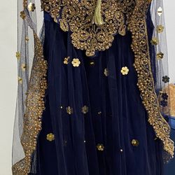 Pakistani  10 year girls fancy dress  Net fabric