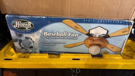 Baseball fan