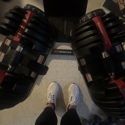 Bowflex Adjustable Weights And Bench