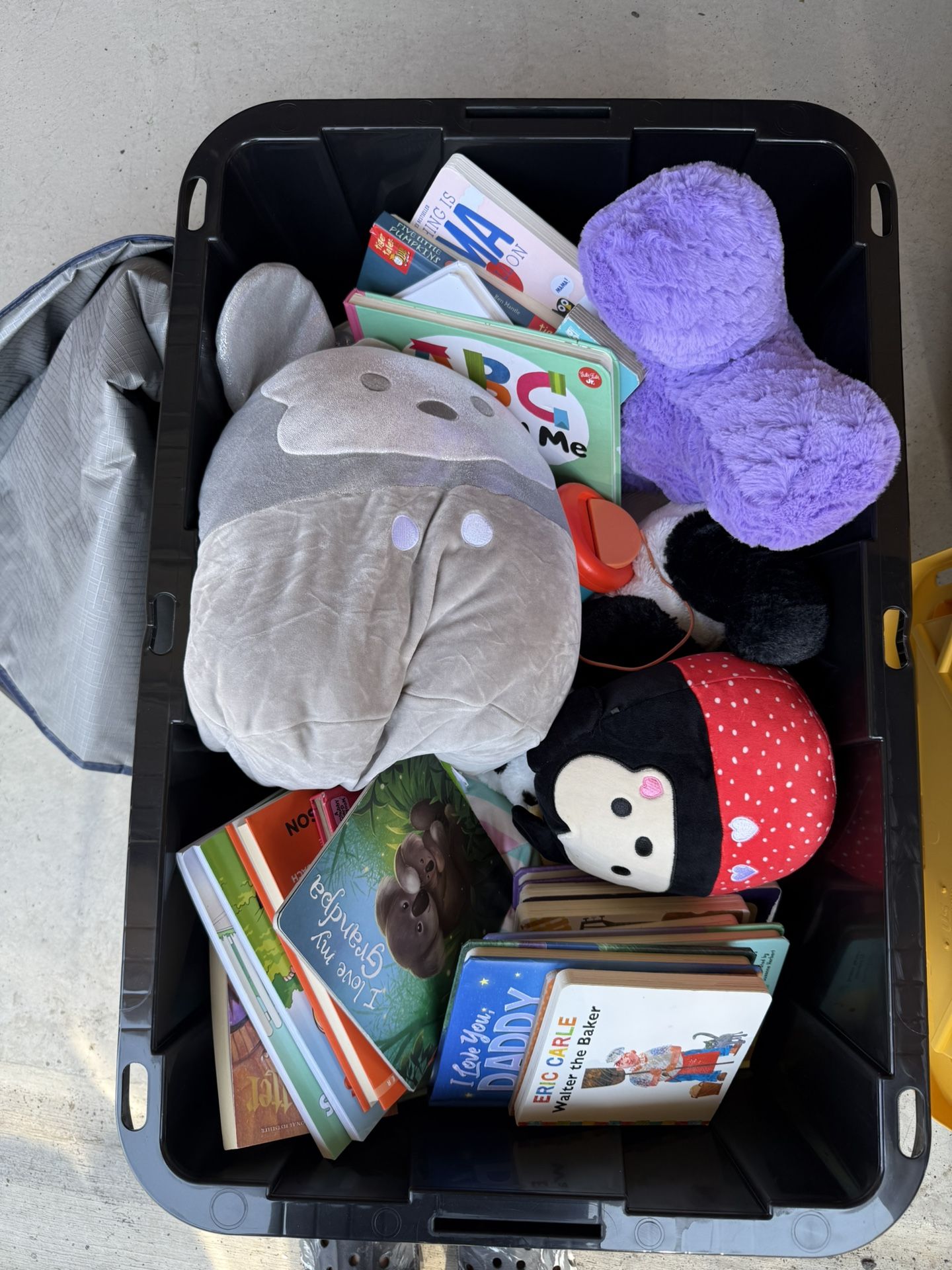Plushies/books