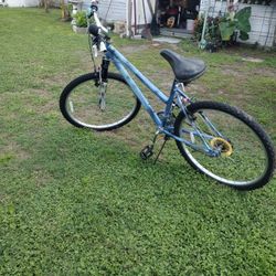 One Bicycle Fair Condition $35