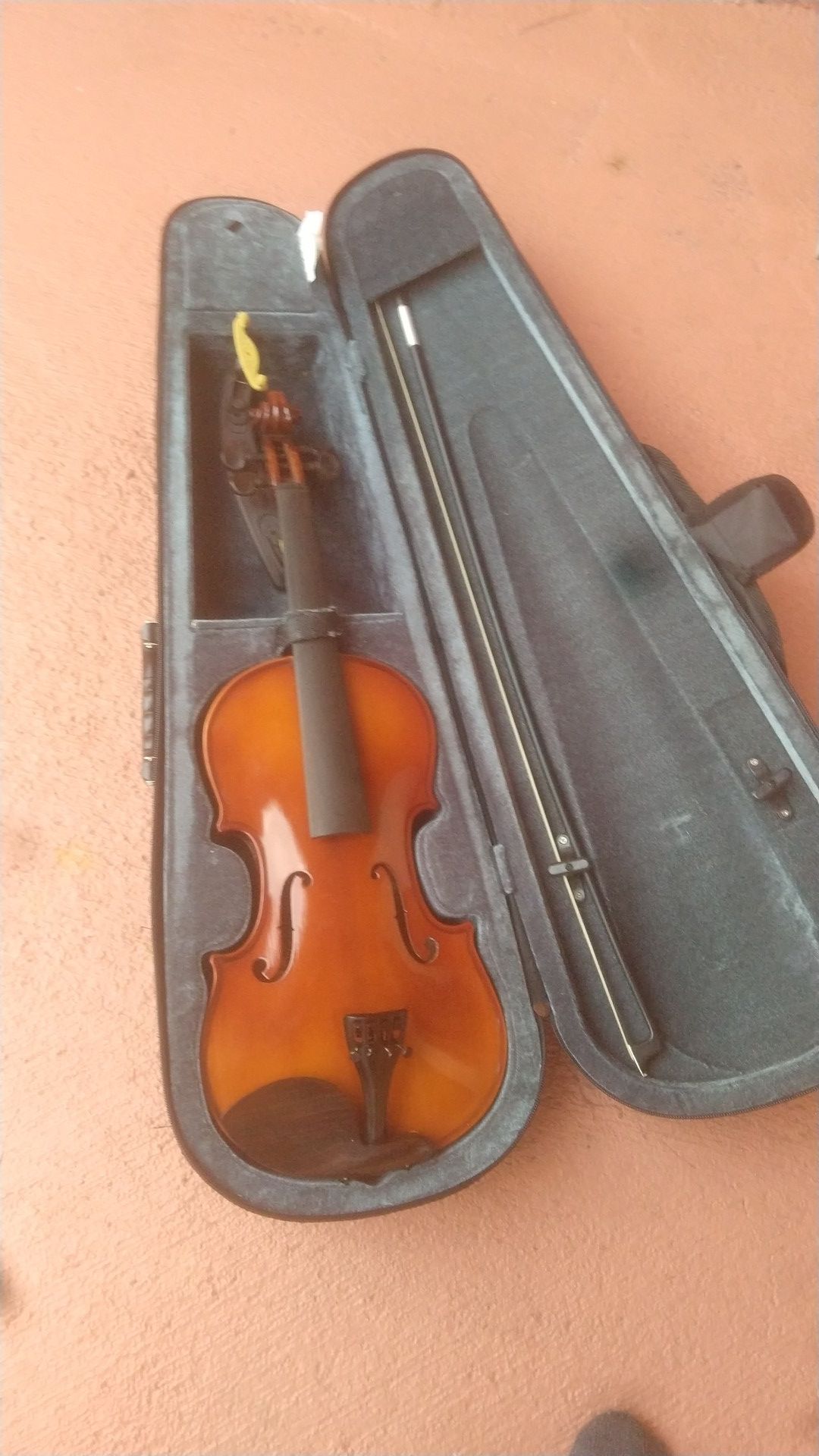 Carlo Robelli violin with hard case