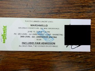 Marshmello Concert