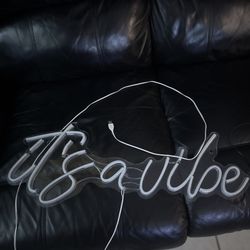 It’s A Vibe Led light 