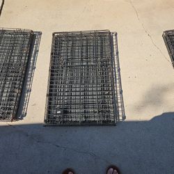 Dog kennels 65 For The 2xl 50 For The 1xl