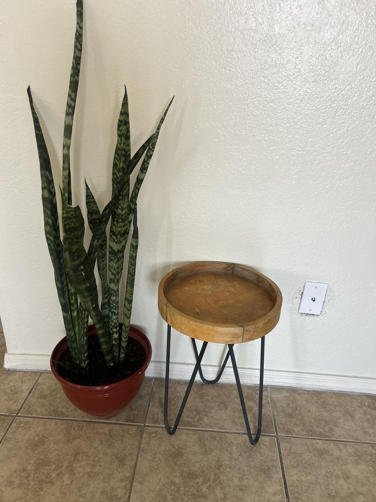 Plant Stand