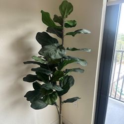 Artificial Decorative Plant