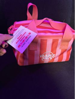 Trader Joe’s Striped Mini Bag