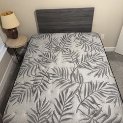 Sealy Posturepedic Plus (Queen) Mount Auburn 13-inch Mattress