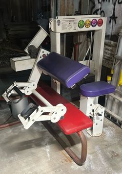 Cybex Arm Curl Machine