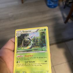 Trading Card Pokémon 