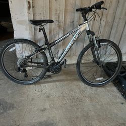 Trek Mountain Bike