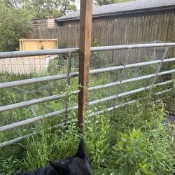 12 Ft 2” Galvanized Gate