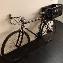 Practical Bike with Crate