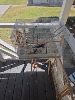 Used Bird Cage With Accessories $15