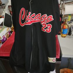 Michael Jordan Baseball Jersey Look