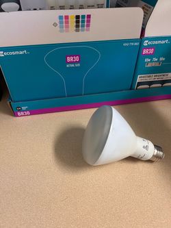 Ecosmart flood lights