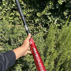 Baseball Bat