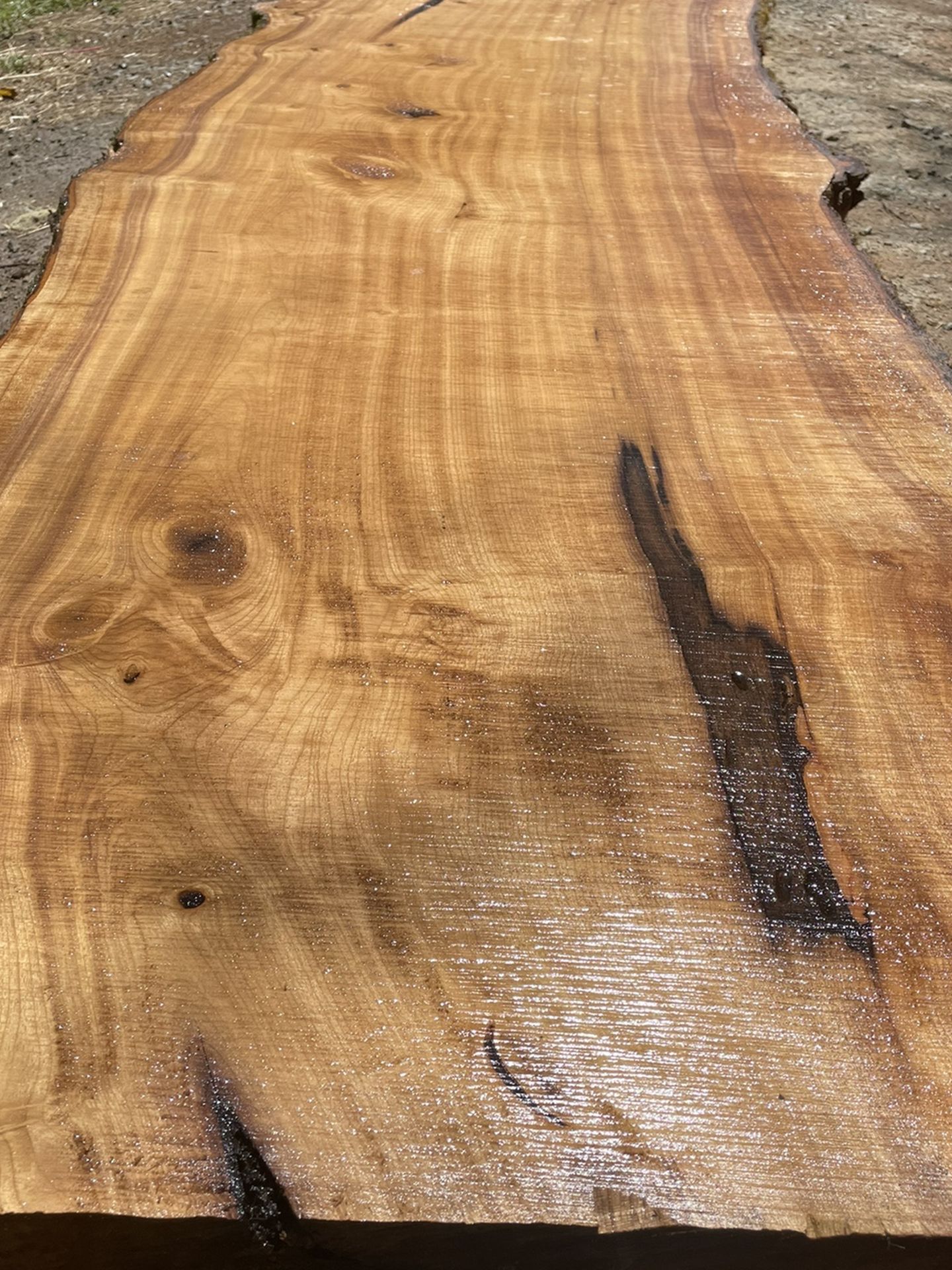 Myrtlewood Live Edge Slabs For Tables, Bartops, Countertops Etc