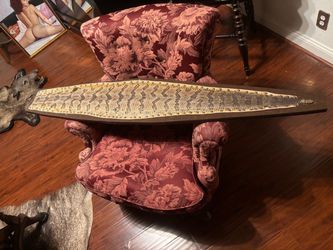 🤩Taxidermy Snake 🐍Skin Mounted 🔥🔥on Wood Plaque